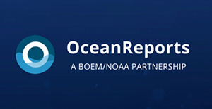 Thumbnail for Video: OceanReports Uses